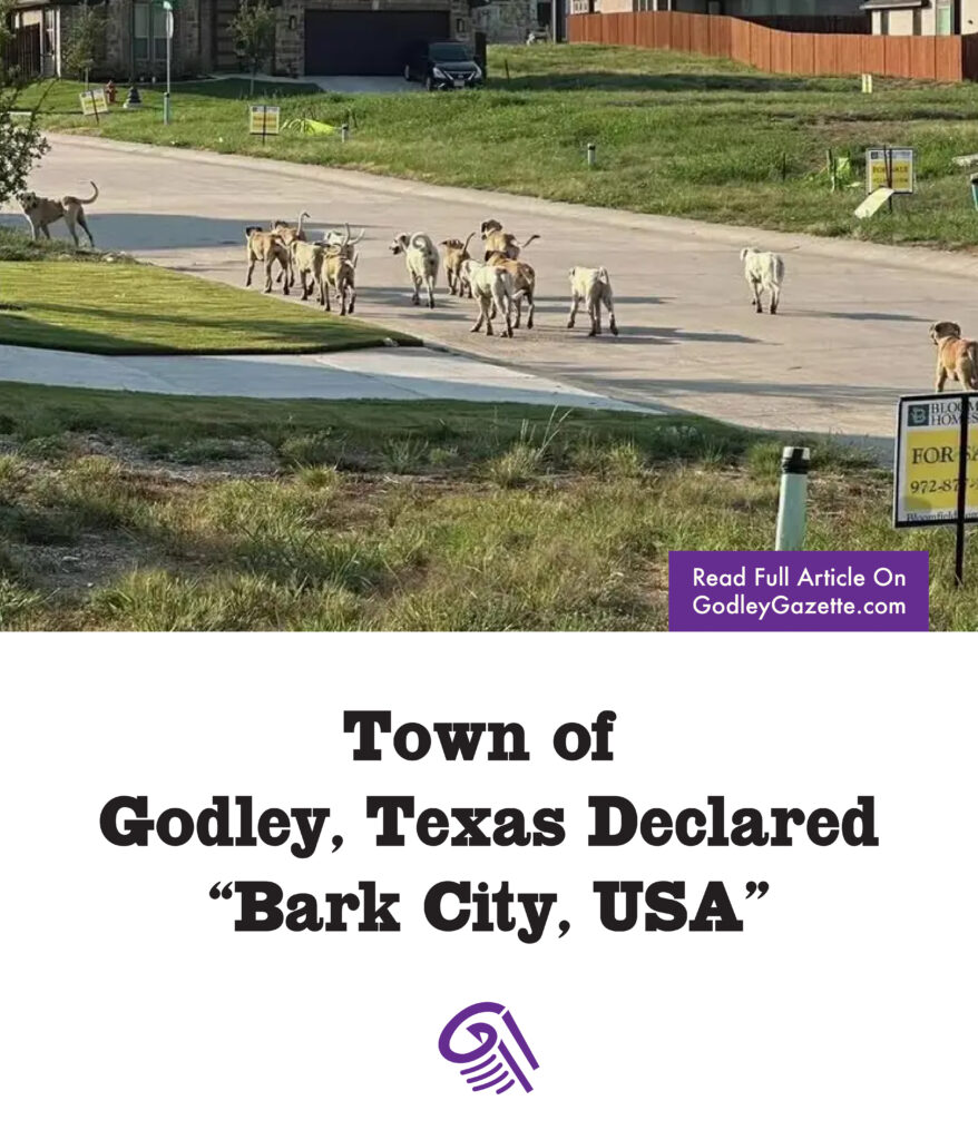 custodial funds 03 Godley is Bark City, USA