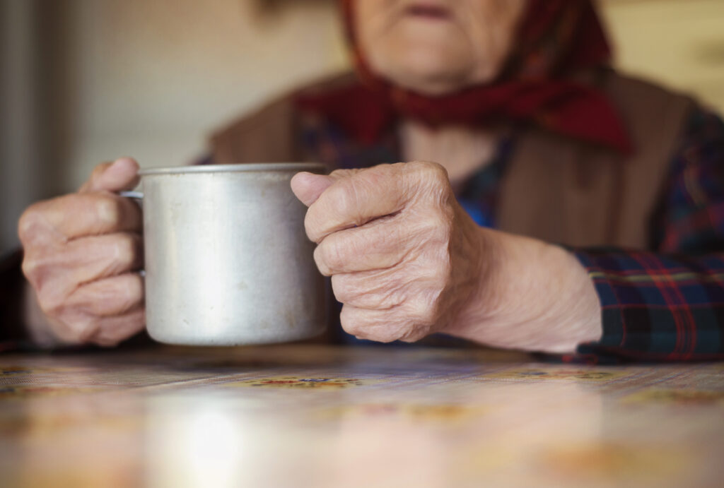 old woman in the kitchen